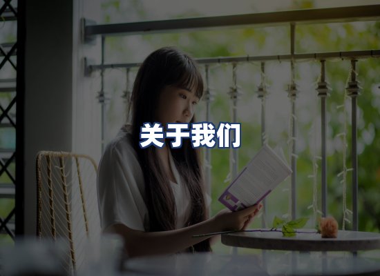 关于我们